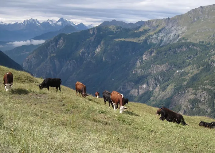 Meuble Meridiana מלון 2*