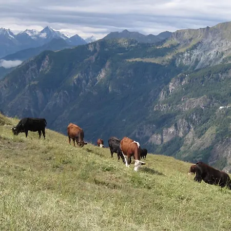 Meuble Meridiana فندق 2*